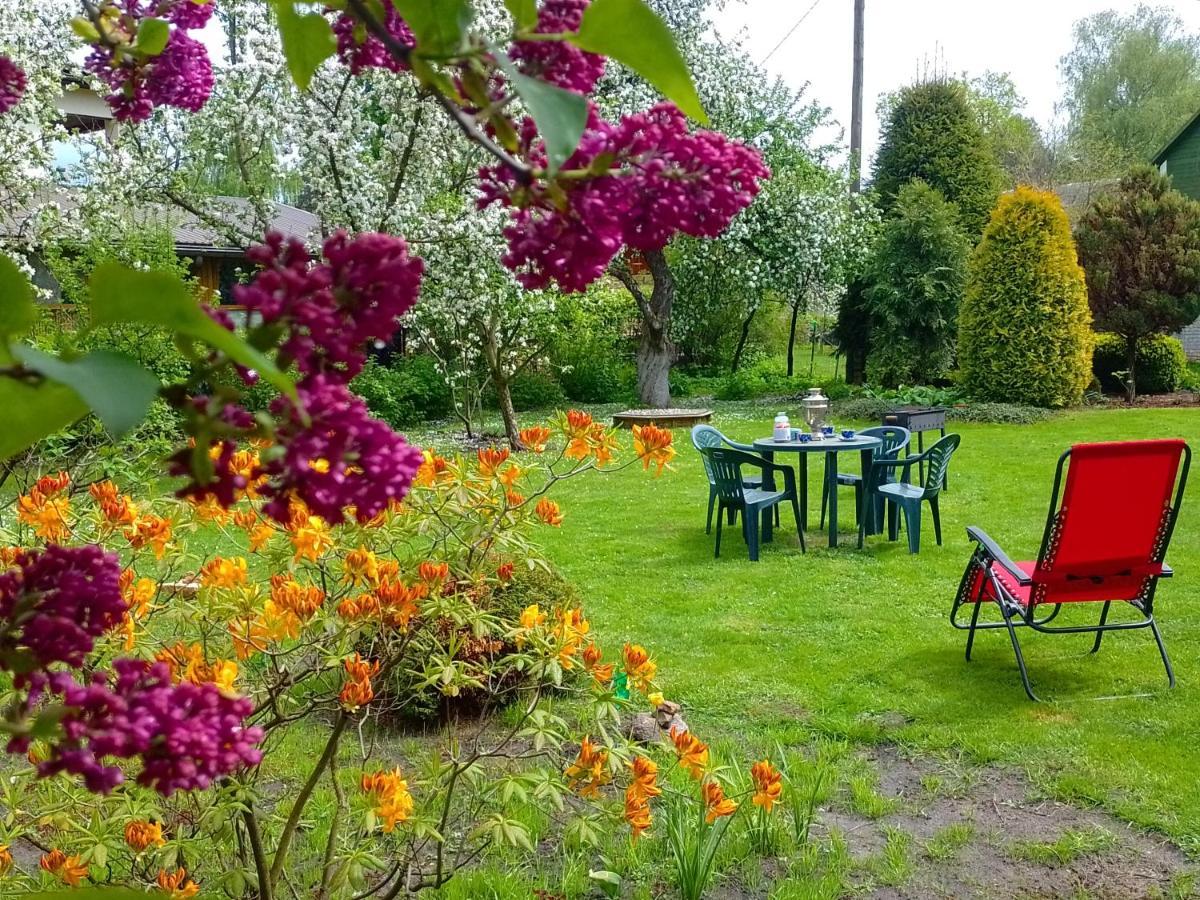 House, Garden & Sauna. Free Parking. Train Stop-200 M. Sea-1 Km. Jūrkalne المظهر الخارجي الصورة