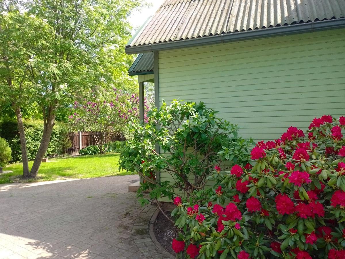 House, Garden & Sauna. Free Parking. Train Stop-200 M. Sea-1 Km. Jūrkalne المظهر الخارجي الصورة