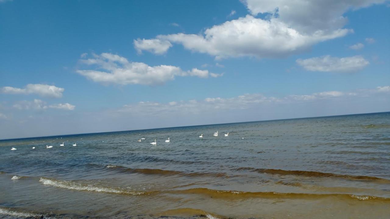 House, Garden & Sauna. Free Parking. Train Stop-200 M. Sea-1 Km. Jūrkalne المظهر الخارجي الصورة